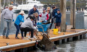 Operation Clean Sweep