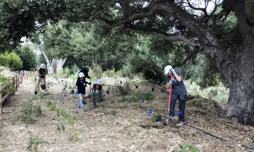 Volunteers install native plants at the Arroyo Burro Open Space