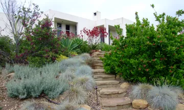 Water Wise Garden Stairs