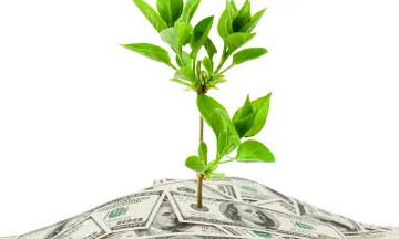 Plant growing from pile of money