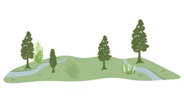 Illustration of trees along creek