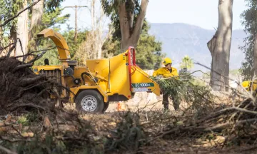 Crew adds pruned eucalyptus branches to a chipper