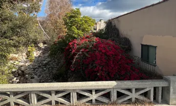 Mission Creek at De La Vina with overgrown vegetation encompassing a City building.