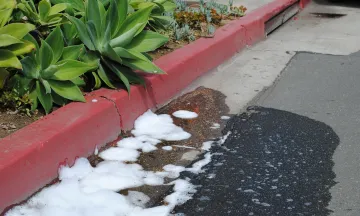 Creeks Enforcement.jpg