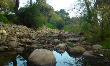 Mission Creek at Oak Park.JPG