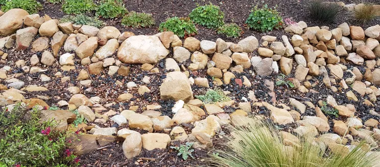Infiltration trench on a local property, example of a BMP that meets SWMP requirements