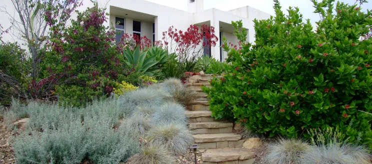 Water Wise Garden Stairs