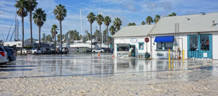 Sand and water cover Harbor Commercial Area following December 2023 storms