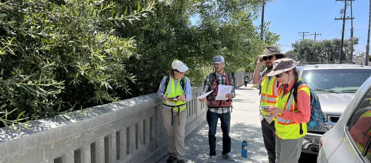 Cleanup volunteers collect data in Santa Barbara