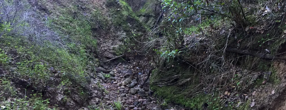 Honda Valley Creek at Honda Valley Park