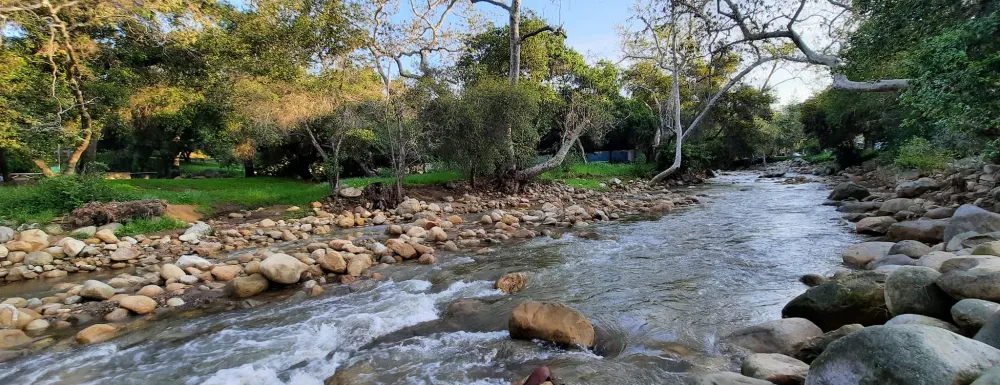 Mission Creek at Oak Park