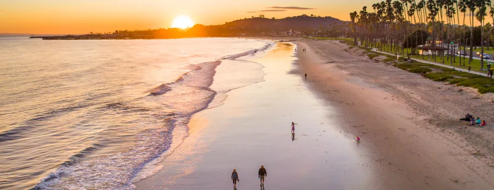 Adaptation and Resilience Hero Image