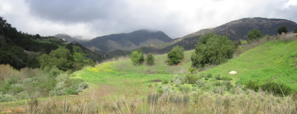 Barger Canyon Preserve along upper Arroyo Burro