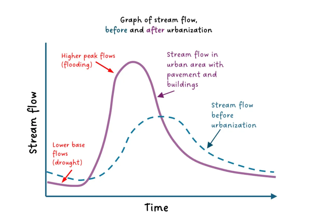 Graph of stream flow over time before and after