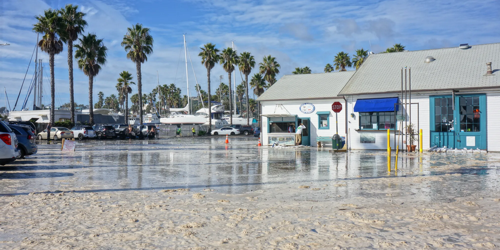 Disruption of operatations & loss of revenue