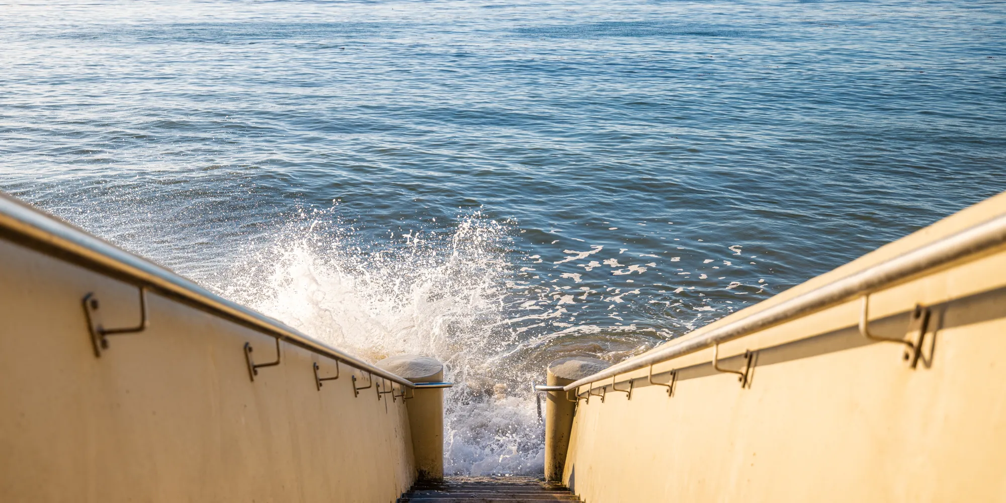 Thousand Steps Wave January 2025