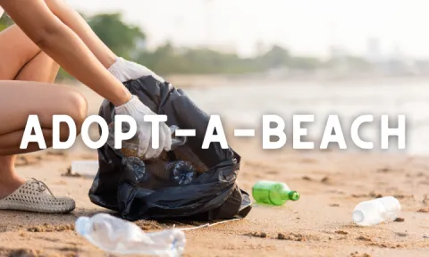 Image of a person collecting trash on a beach