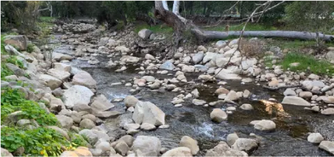 Mission Creek flows through Oak Park in Santa Barbara.