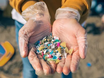 Stock image of close up of a person's gloved hands holding an assortment of microplastic pieces, with a beach cleanup taking place in the background.