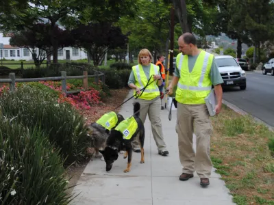 Environmental Canine Services staff and dogs Sable and Logan investigate storm drains