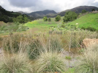 Barger Canyon Preserve along upper Arroyo Burro