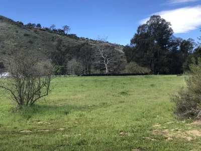 Grassy field and trees at the Palermo Open Space