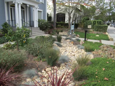 Rain Garden at the Santa Barbara Association of Realtors office