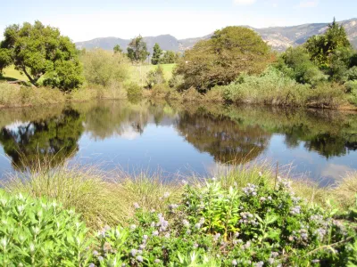 Upper Las Positas Creek.JPG